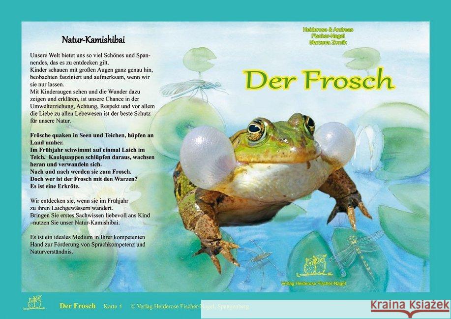 Der Frosch, Natur-Kamishibai Fischer-Nagel, Heiderose; Fischer-Nagel, Andreas 9783930038701 Fischer-Nagel - książka