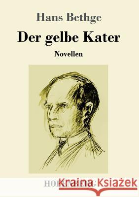 Der gelbe Kater: Novellen Bethge, Hans 9783743728912 Hofenberg - książka