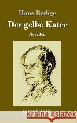 Der gelbe Kater: Novellen Hans Bethge 9783743728929 Hofenberg - książka