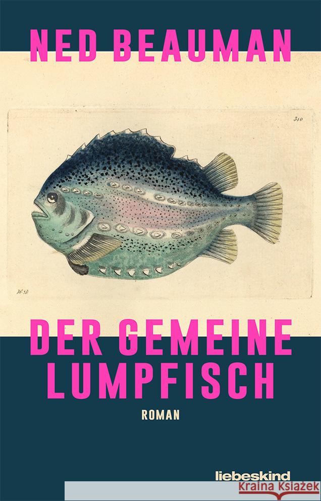 Der Gemeine Lumpfisch Beauman, Ned 9783954381586 Liebeskind - książka