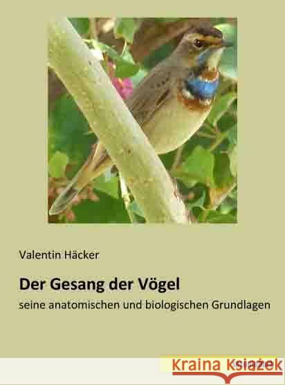 Der Gesang der Vögel : seine anatomischen und biologischen Grundlagen Häcker, Valentin 9783957700858 Saxoniabuch.de - książka