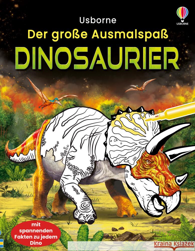 Der große Ausmalspaß: Dinosaurier Smith, Sam 9781789417746 Usborne Verlag - książka