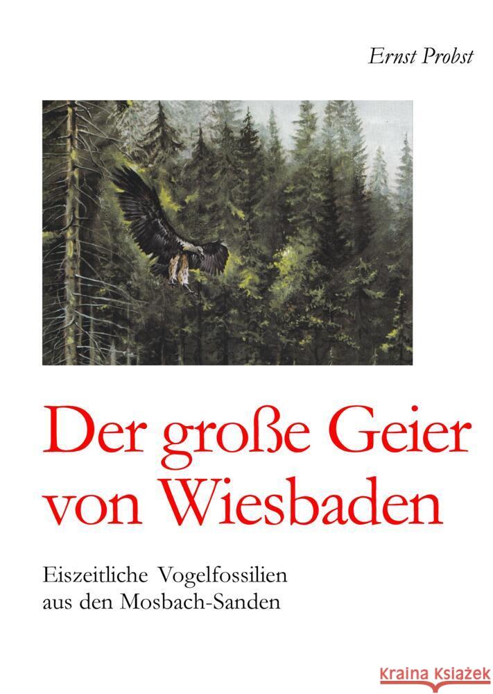 Der große Geier von Wiesbaden Probst, Ernst 9783384481627 tredition - książka