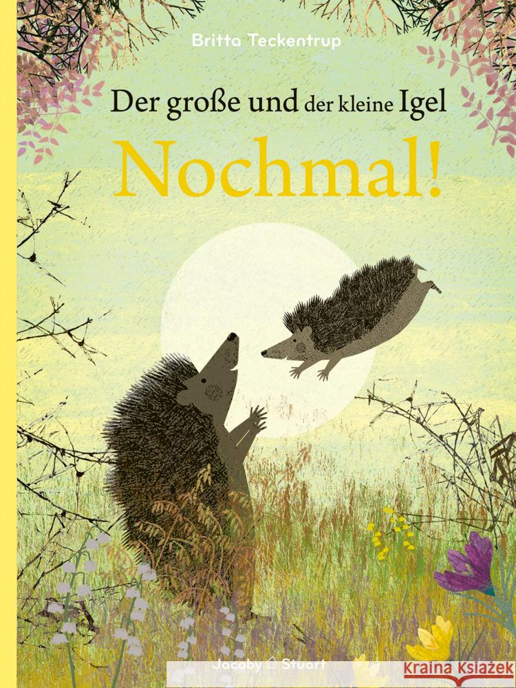 Der große und der kleine Igel / Nochmal! Teckentrup, Britta 9783964281791 Jacoby & Stuart - książka