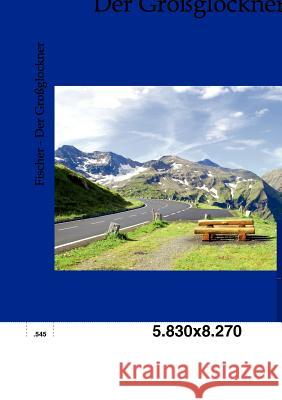 Der Großglockner Fischer, Hans 9783864442476 Salzwasser-Verlag - książka