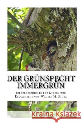 Der Grünspecht Immergrün: Bildergeschichte für Kinder und Erwachsene Stutz, Walter M. 9781523984190 Createspace Independent Publishing Platform - książka