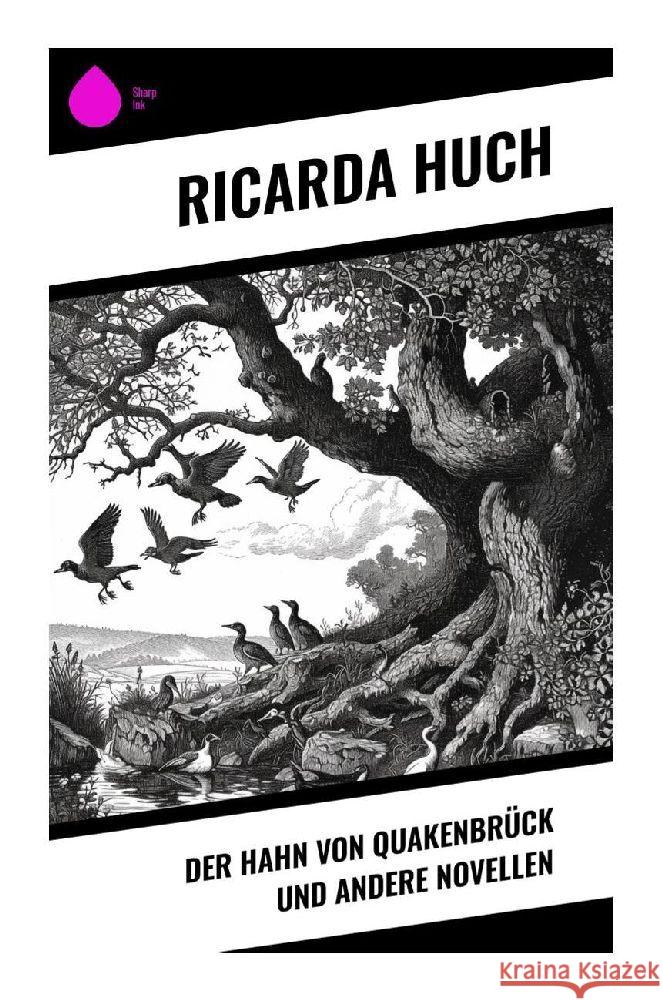 Der Hahn von Quakenbrück und andere Novellen Huch, Ricarda 9788028354633 Sharp Ink - książka