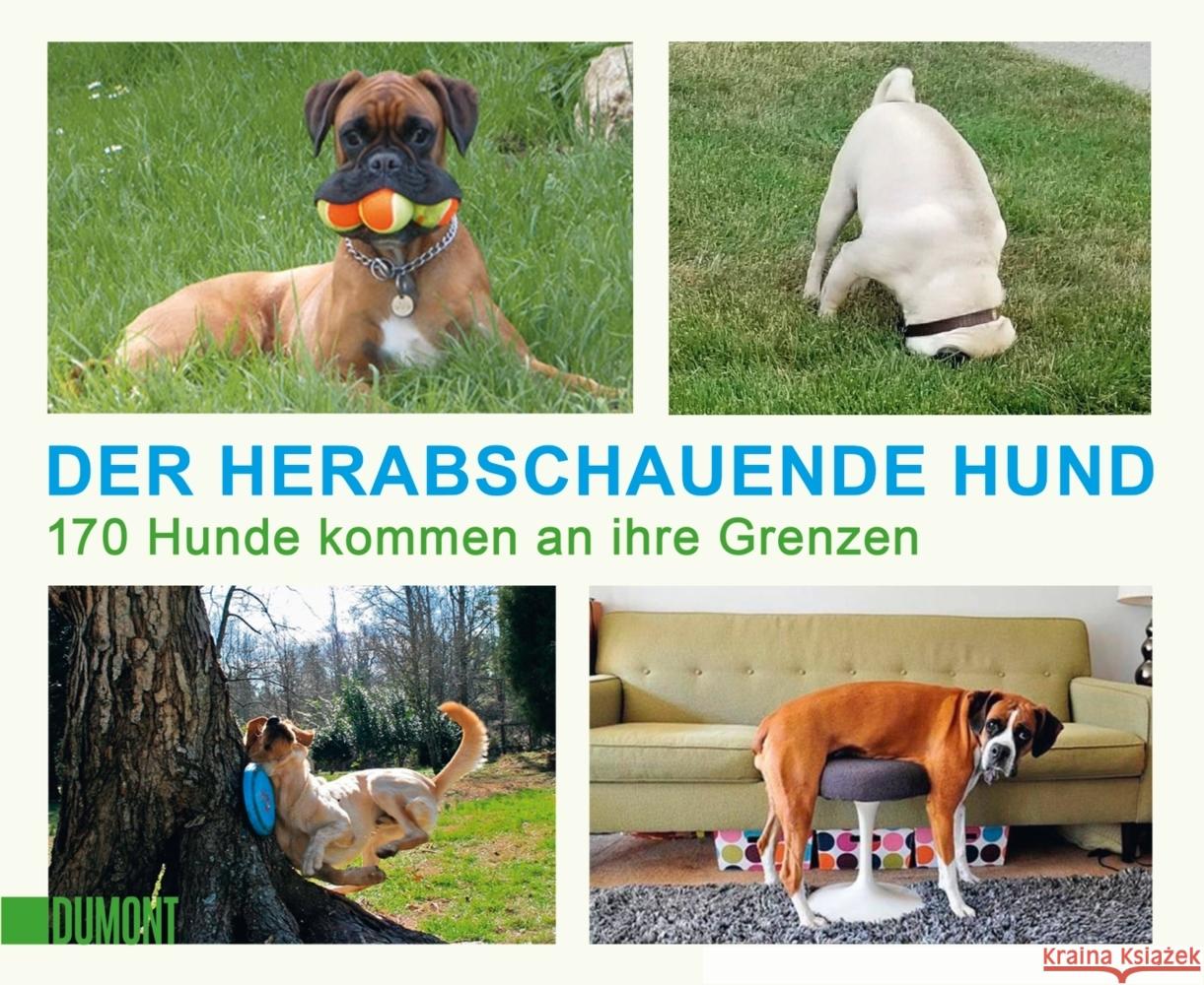 Der herabschauende Hund  9783832169138 DuMont Buchverlag Gruppe - książka