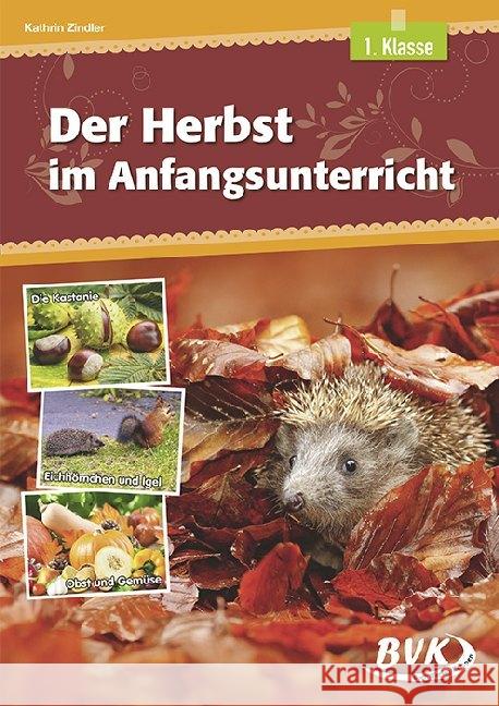 Der Herbst im Anfangsunterricht : 1. Klasse Zindler, Kathrin 9783965200166 BVK Buch Verlag Kempen - książka