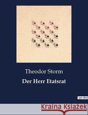 Der Herr Etatsrat Theodor Storm   9791041949588 Culturea - książka