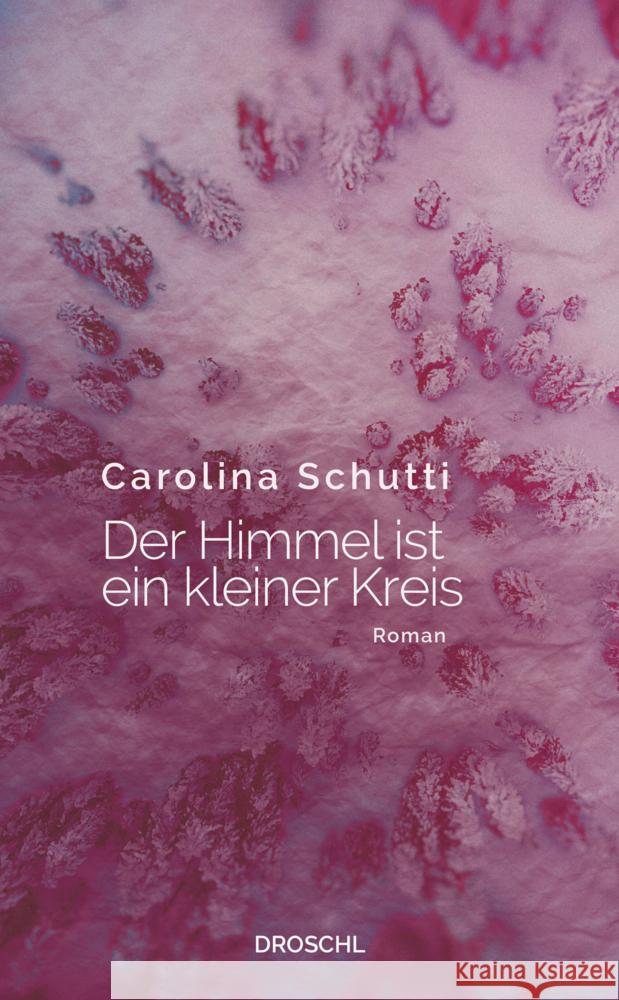 Der Himmel ist ein kleiner Kreis Schutti, Carolina 9783990590720 Literaturverlag Droschl - książka