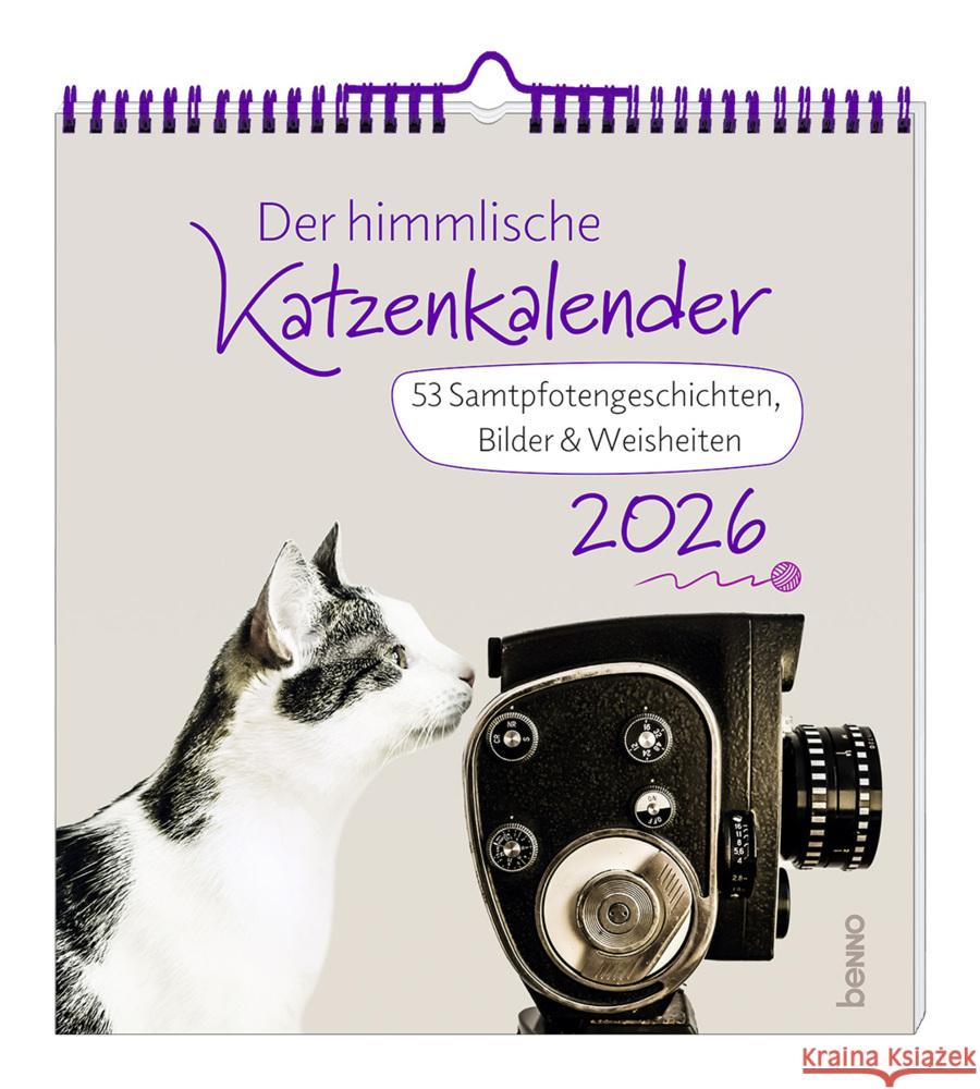 Der himmlische Katzenkalender 2026 Wendler, Heike 9783746267401 St. Benno - książka