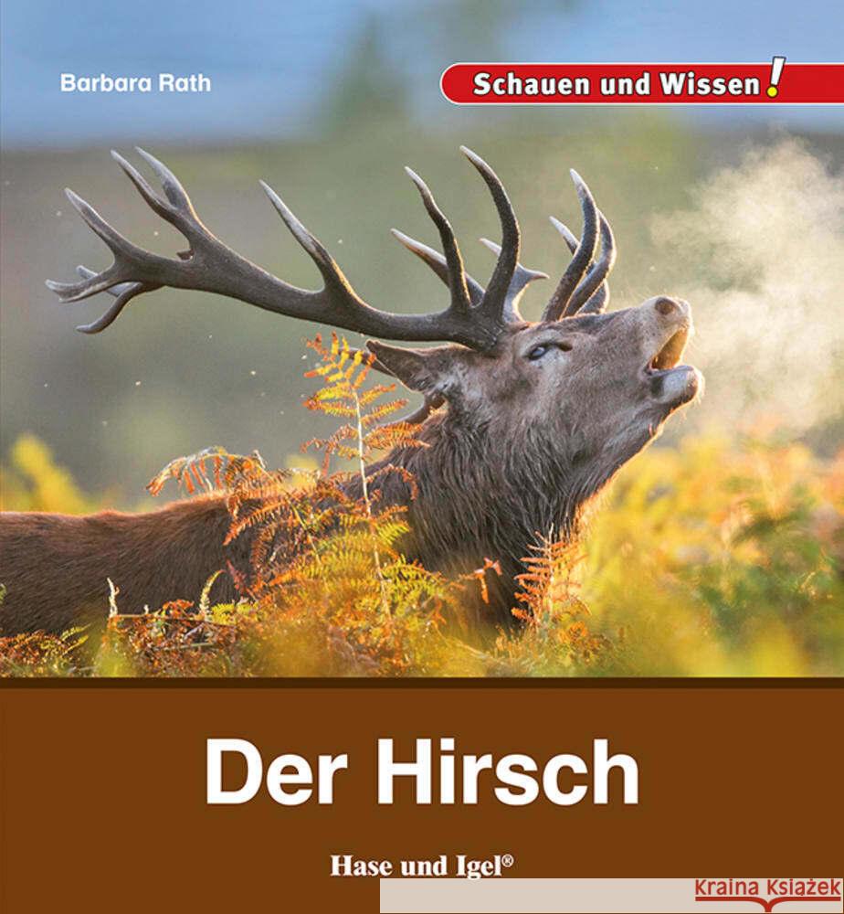 Der Hirsch Rath, Barbara 9783863164621 Hase und Igel - książka