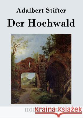 Der Hochwald Adalbert Stifter   9783843033824 Hofenberg - książka