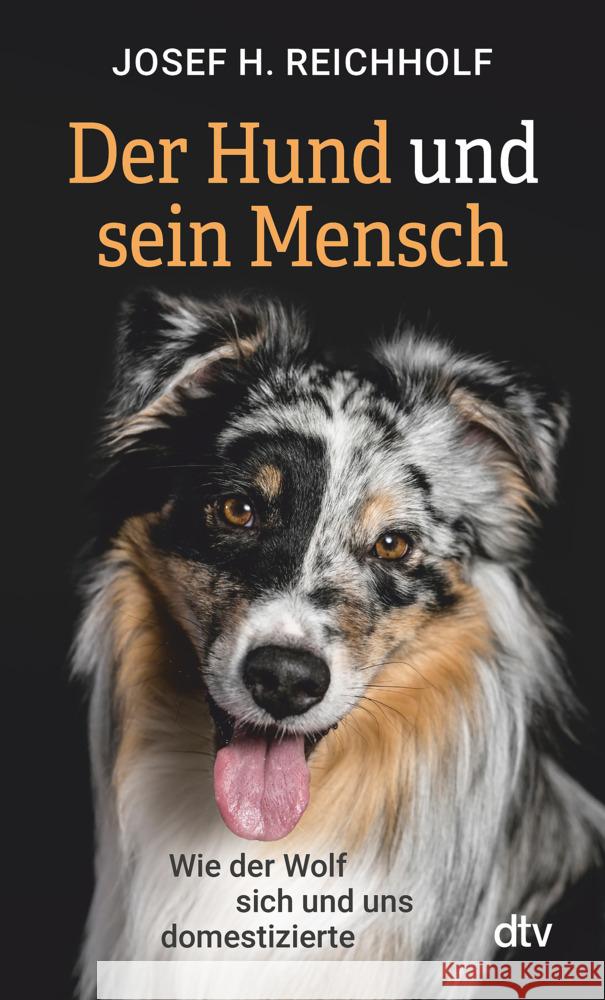 Der Hund und sein Mensch Reichholf, Josef H. 9783423351676 DTV - książka