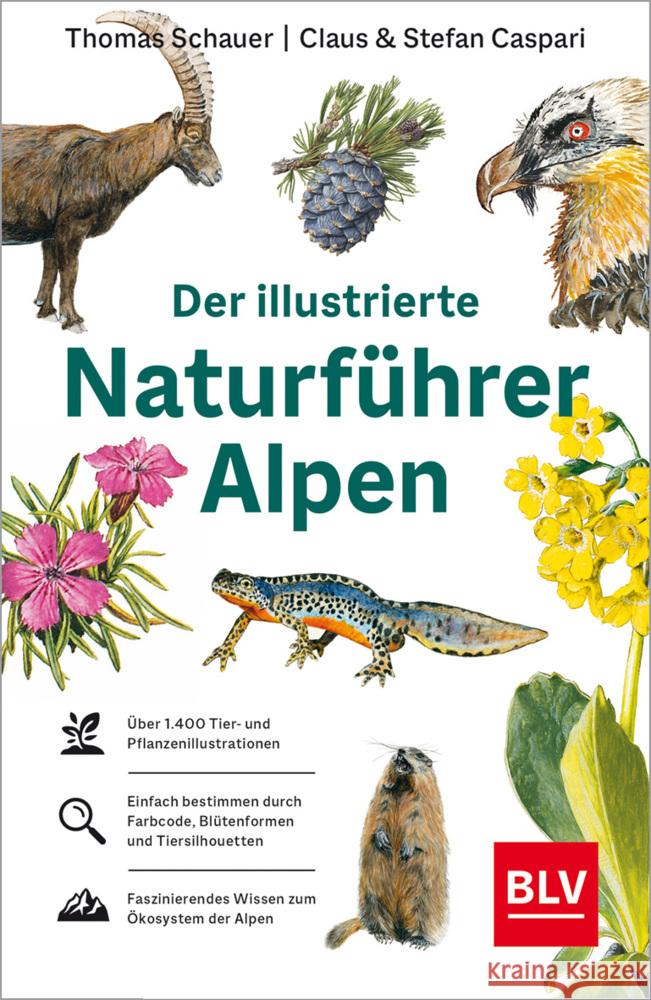 Der illustrierte Naturführer Alpen Schauer, Thomas, Caspari, Stefan 9783967470604 BLV Buchverlag - książka