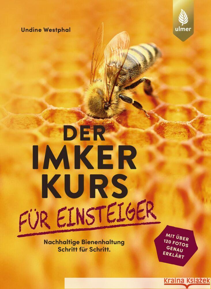 Der Imkerkurs für Einsteiger Westphal, Undine 9783818613143 Verlag Eugen Ulmer - książka