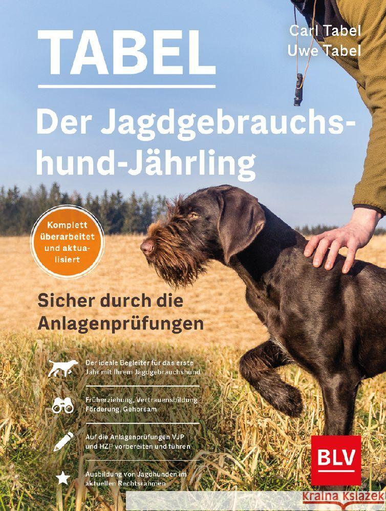 Der Jagdgebrauchshund-Jährling Tabel, Uwe 9783967470956 BLV Buchverlag - książka