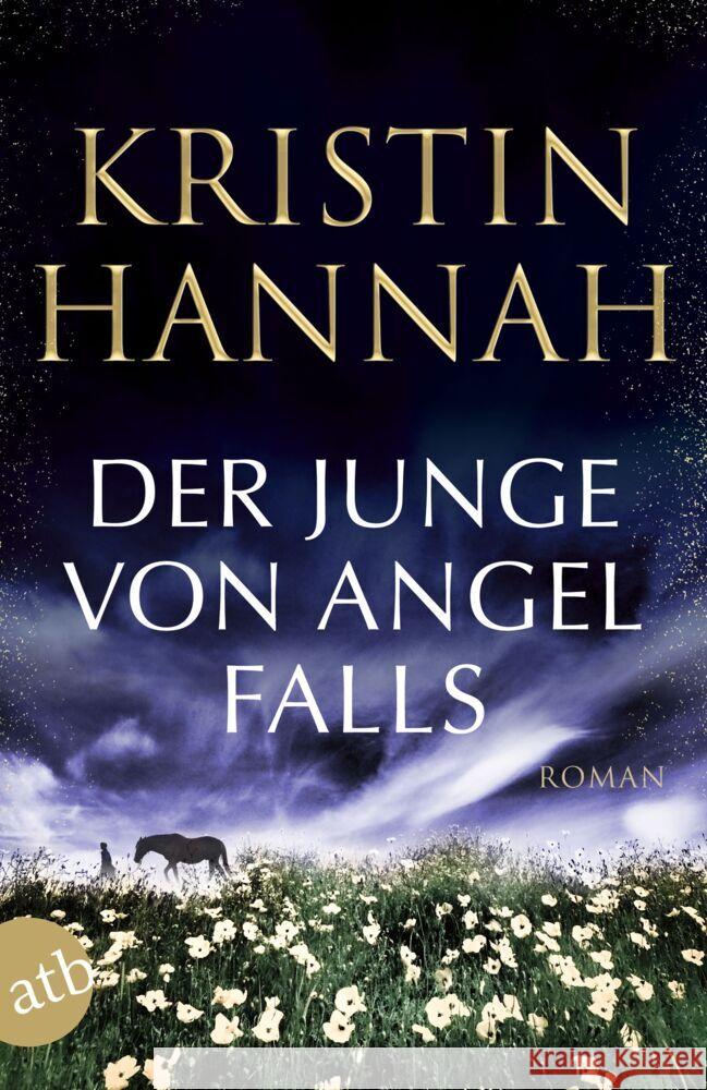 Der Junge von Angel Falls Hannah, Kristin 9783746635729 Aufbau TB - książka