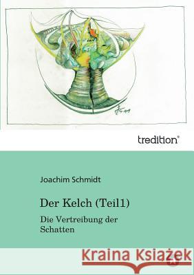 Der Kelch: Die Vertreibung der Schatten Schmidt, Joachim 9783849575731 Tredition - książka