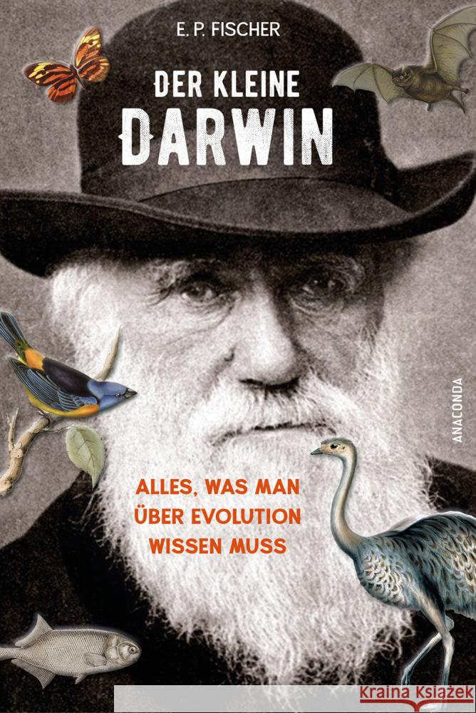 Der kleine Darwin. Alles, was man über Evolution wissen muss Fischer, Ernst Peter 9783730614297 Anaconda - książka