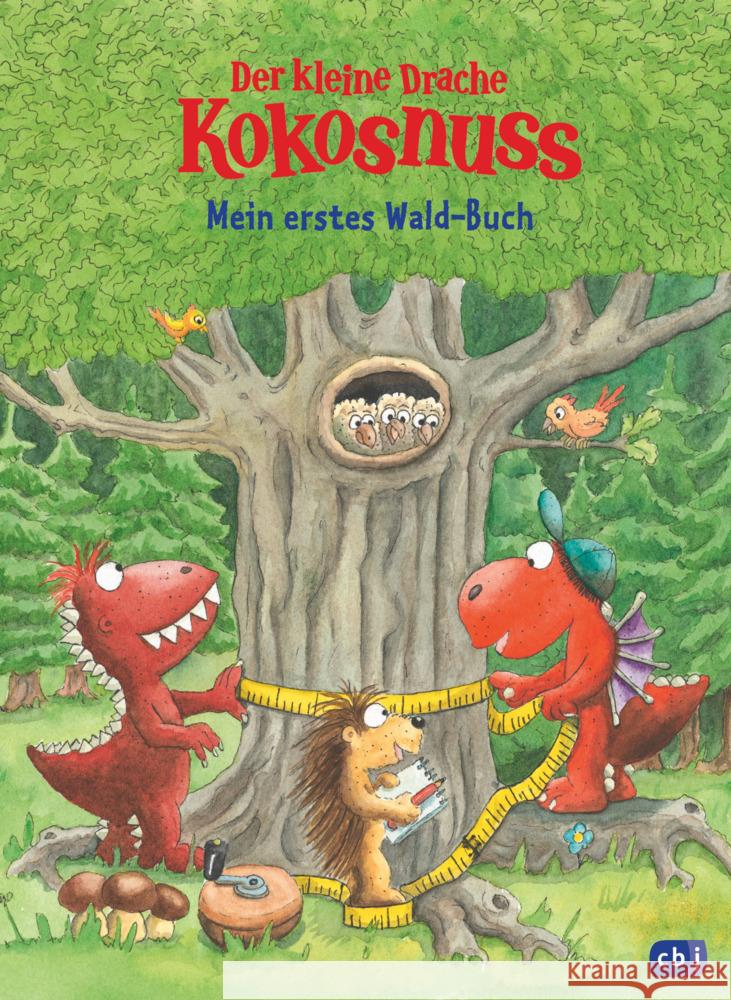 Der kleine Drache Kokosnuss - Mein erstes Wald-Buch Siegner, Ingo 9783570180785 cbj - książka