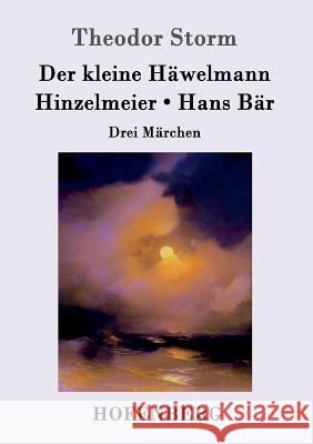 Der kleine Häwelmann / Hinzelmeier / Hans Bär: Drei Märchen Storm, Theodor 9783843017633 Hofenberg - książka