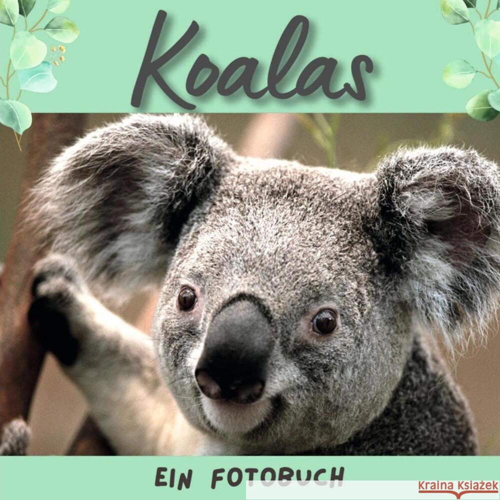 Der Koala Hübsch, Bibi 9783750515338 27amigos - książka