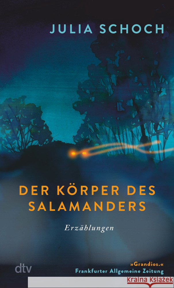 Der Körper des Salamanders Schoch, Julia 9783423148528 DTV - książka