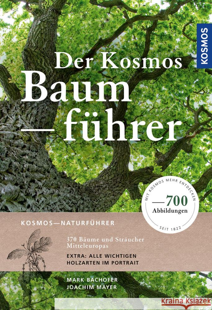 Der Kosmos-Baumführer Bachofer, Mark, Mayer, Joachim 9783440170137 Kosmos (Franckh-Kosmos) - książka