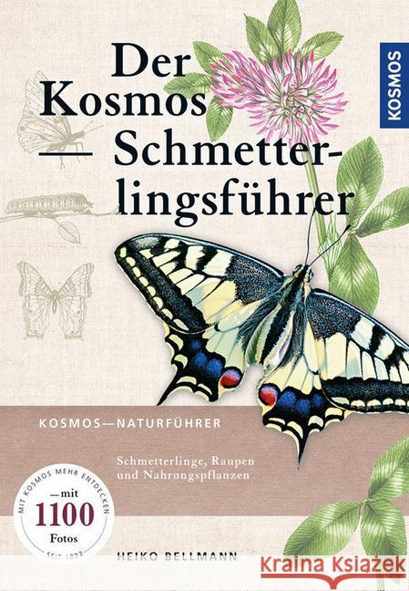 Der Kosmos Schmetterlingsführer : Schmetterlinge, Raupen und Futterpflanzen Bellmann, Heiko; Ulrich, Rainer 9783440146187 Kosmos (Franckh-Kosmos) - książka