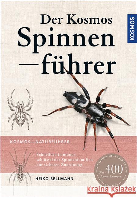 Der Kosmos Spinnenführer : Schnellbestimmungsschlüssel mit Zeichnungen. Über 400 Arten Europas Bellmann, Heiko 9783440148952 Kosmos (Franckh-Kosmos) - książka