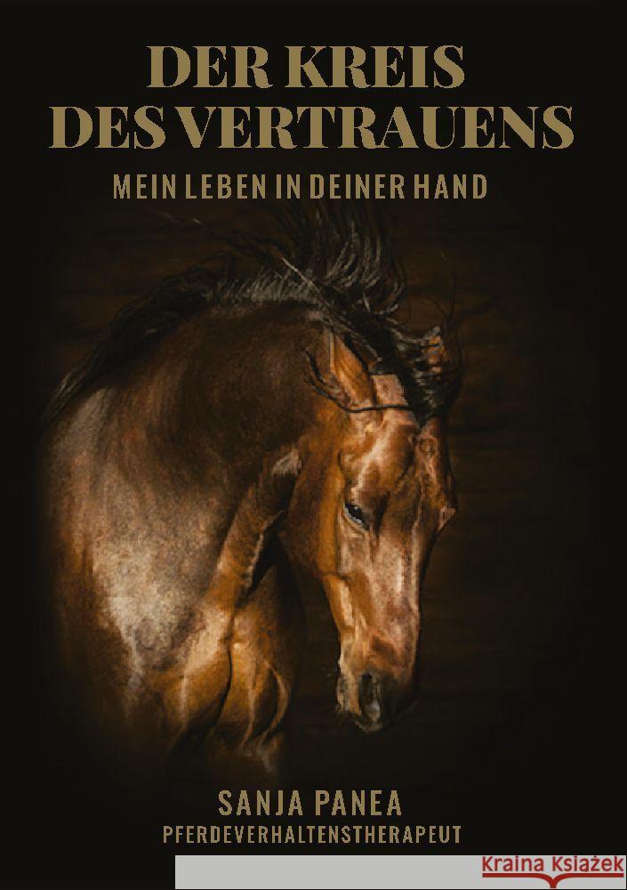 Der Kreis des Vertrauens: Mein Leben in Deiner Hand Sanja Panea 9783347734821 Tredition Gmbh - książka