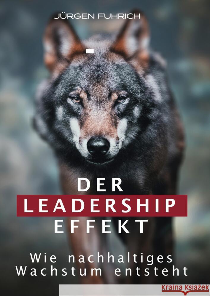 Der Leadership Effekt Fuhrich, Jürgen 9783347773837 tredition - książka