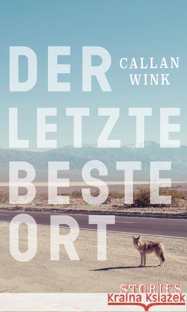 Der letzte beste Ort : Stories Wink, Callan 9783518425596 Suhrkamp - książka