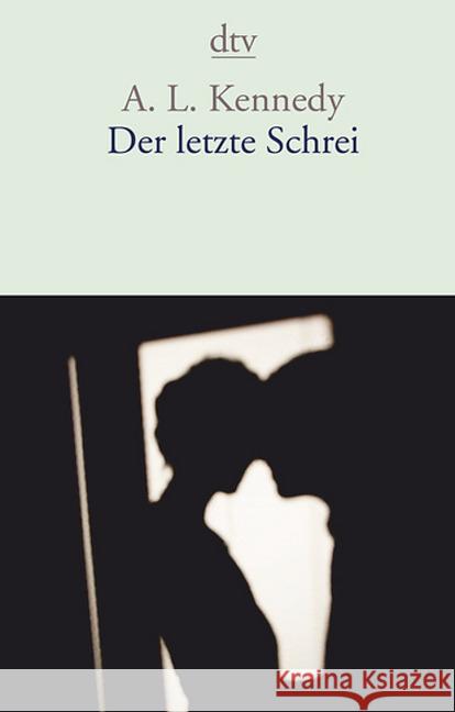 Der letzte Schrei : Erzählungen Kennedy, A. L. 9783423147415 DTV - książka