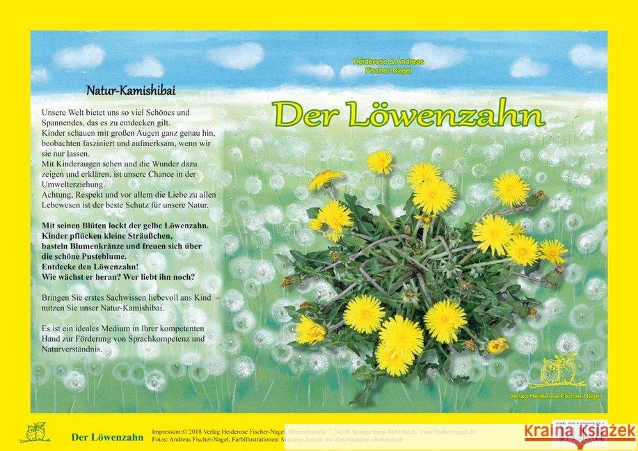 Der Löwenzahn, Natur-Kamishibai Fischer-Nagel, Heiderose; Fischer-Nagel, Andreas 9783930038695 Fischer-Nagel - książka