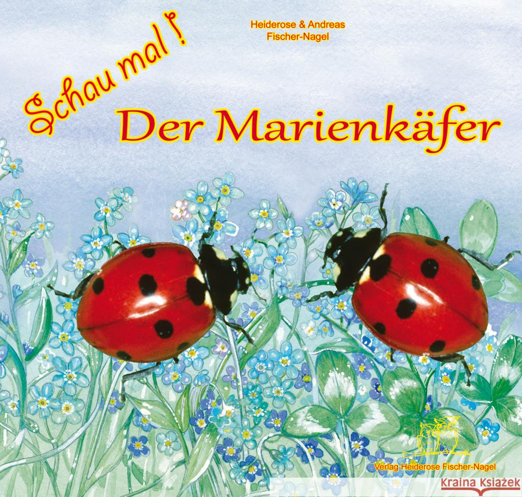 Der Marienkäfer : Bilderbuch Fischer-Nagel, Heiderose; Fischer-Nagel, Andreas 9783930038534 Fischer-Nagel - książka