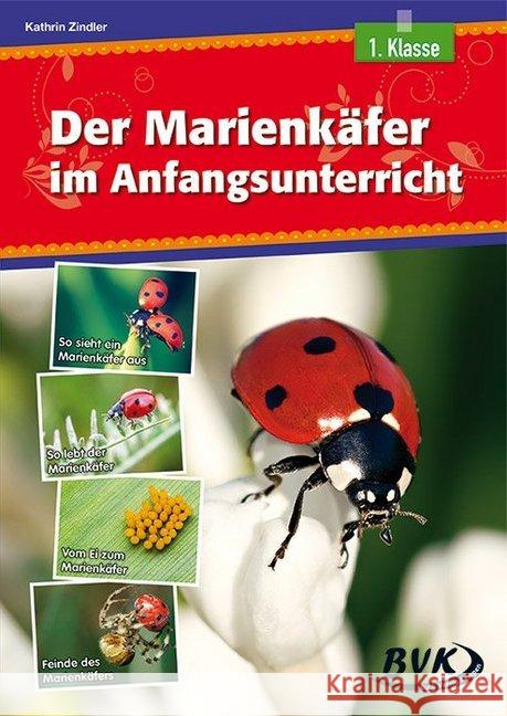 Der Marienkäfer im Anfangsunterricht : 1. Klasse Zindler, Kathrin 9783867406062 BVK Buch Verlag Kempen - książka