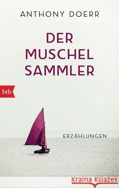 Der Muschelsammler : Erzähler Doerr, Anthony 9783442733989 btb - książka