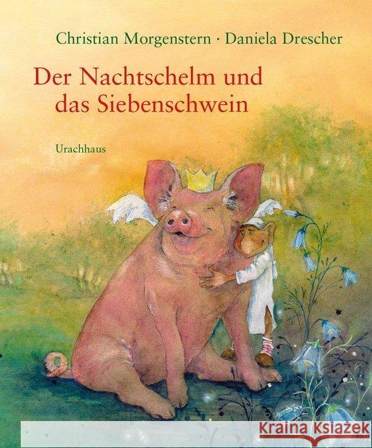 Der Nachtschelm und das Siebenschwein : Kindergedichte Morgenstern, Christian 9783825178789 Urachhaus - książka