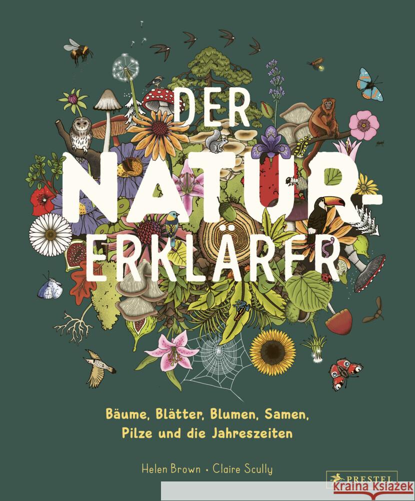 Der Natur-Erklärer Brown, Helen, Scully, Claire 9783791376042 Prestel - książka