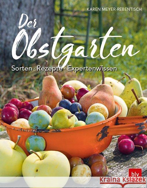 Der Obstgarten : Sorten - Rezepte - Expertenwissen Meyer-Rebentisch, Karen 9783835418622 BLV Buchverlag - książka