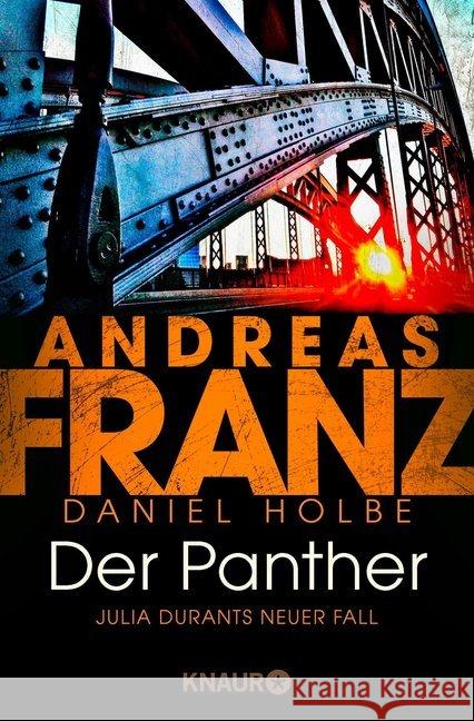 Der Panther : Julia Durants neuer Fall Franz, Andreas; Holbe, Daniel 9783426520857 Droemer/Knaur - książka