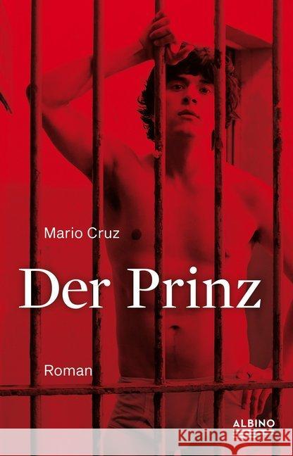 Der Prinz Cruz, Mario 9783863002947 Männerschwarm - książka