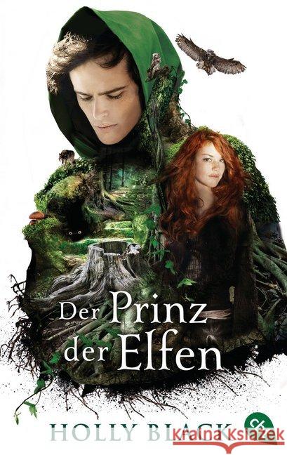 Der Prinz der Elfen Black, Holly 9783570312803 cbt - książka