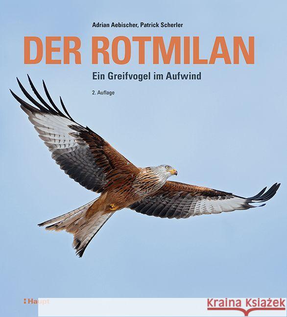 Der Rotmilan Aebischer, Adrian, Scherler, Patrick 9783258083230 Haupt - książka
