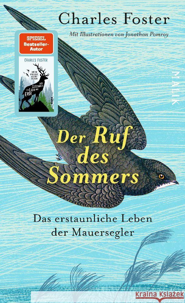 Der Ruf des Sommers Foster, Charles 9783890295763 Malik - książka