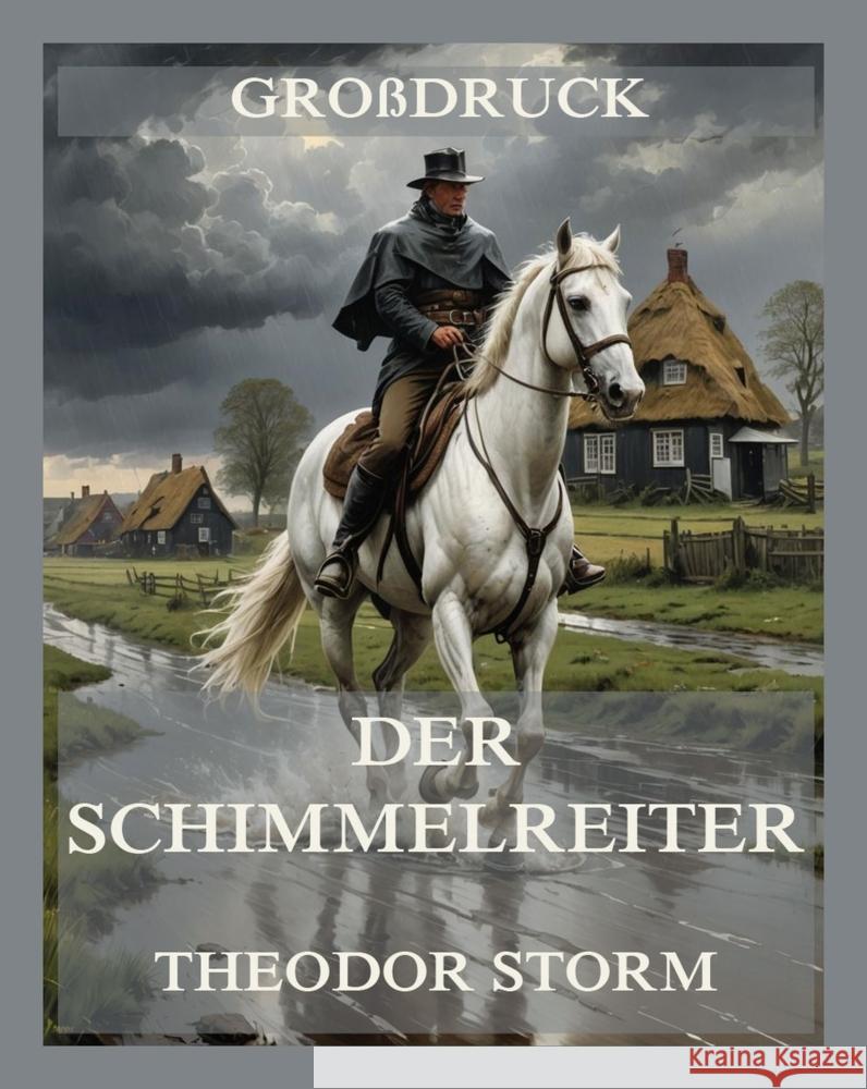 Der Schimmelreiter Storm, Theodor 9783988689160 Jazzybee Verlag - książka