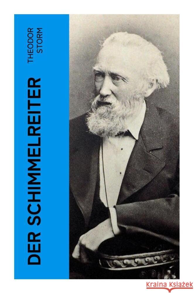 Der Schimmelreiter Storm, Theodor 9788027350889 e-artnow - książka